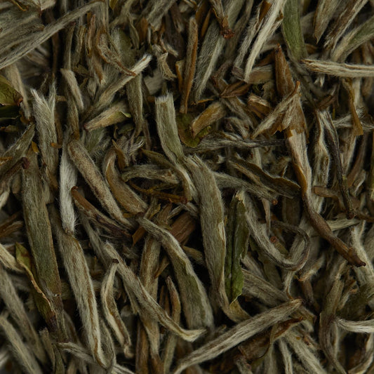 Herbata biała BAI HAO YIN ZHEN - 50 g